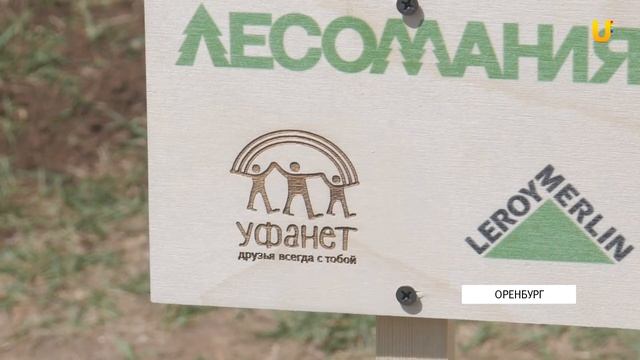 В одном из молодых районов города воздух станет чище