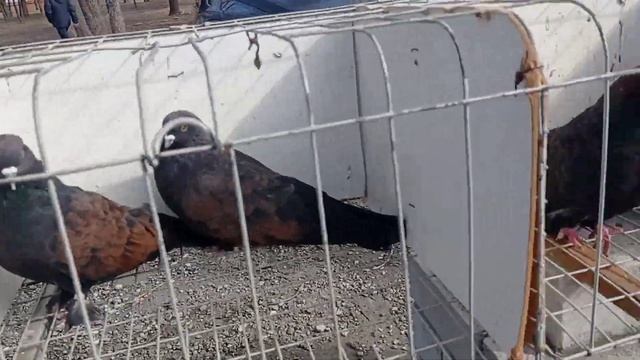 Выставка 2021