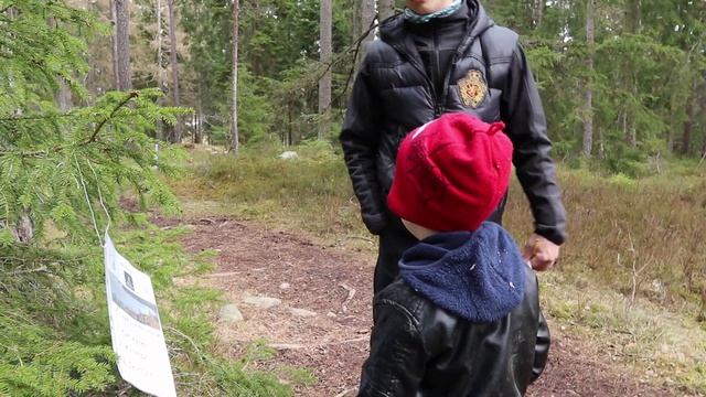 Поход с семьей Швеция.  Tipsrunda Friluftsfrämjandet Stockholm.Активный отдых.