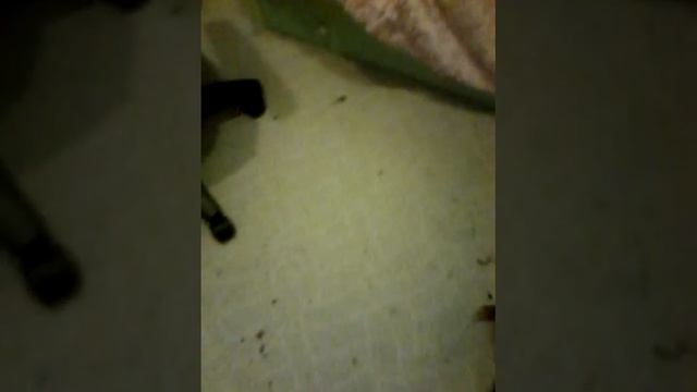 Смелая жопа смотреть онлайн