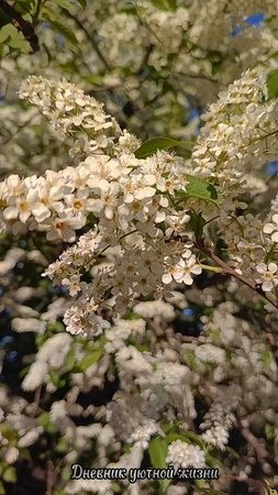 Весна 🌱