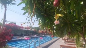 Гостиница  Mangrove .Бассейн .Паттайя