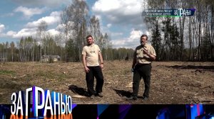 «За гранью»: «Лесной без леса? Уголовное дело» | Выпуск от 29 апреля 2025 года