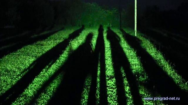 Дискотека на Фестивале по спортивному туризму среди инвалидов смотреть онлайн