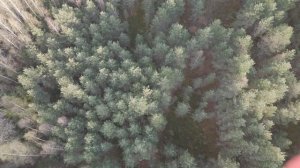 Новгородская область    DJI MINI 4 PRO