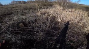 Металлоприемка в ручье. Металл хороший но достать тяжело.