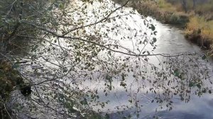 С.Есенин - "Мы теперь уходим понемногу".🎼🎶✨🌾🥀🌾