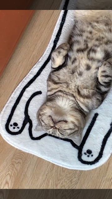 МИНУТКА ЮМОРА смотреть онлайн