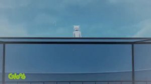 Белый Кот | Леди Баг