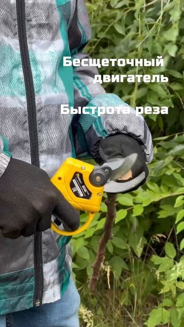 Набор аккумуляторного инструмента Kolner секатор 30мм + пила  KPR 18BL+KCS 18+2S, 8060600036