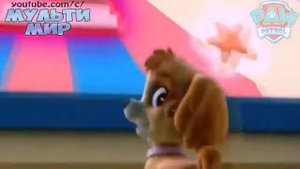 Тяв Тяв Буги  ЩЕНЯЧИЙ ПАТРУЛЬ  ВСЕ СЕРИИ подряд в хорошем качестве НА РУССКОМ 2017 HD mp4new 2017