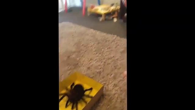 Жёсткий подарочек от мамы смотреть онлайн