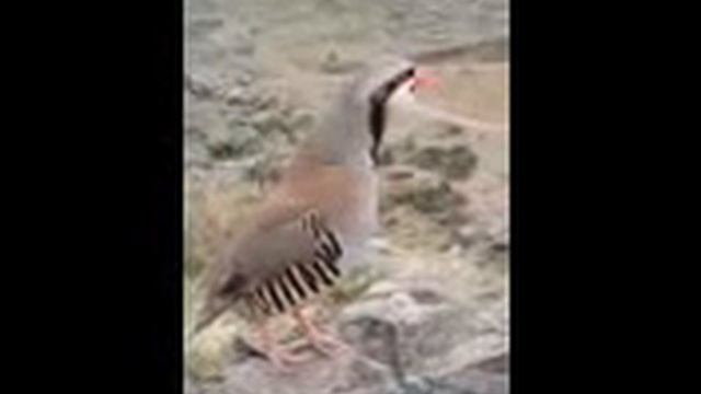 18 ноября 2022 г. смотреть онлайн