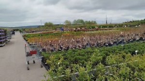 В садовом центре Веры Глуховой