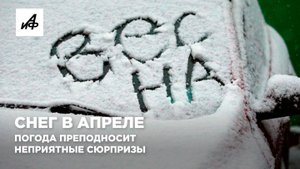 Снег в апреле. Погода преподносит неприятные сюрпризы