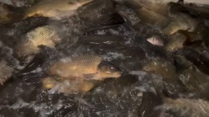 copy_44F15068-1893-40DF-ACA2-07E9CAC97A3A