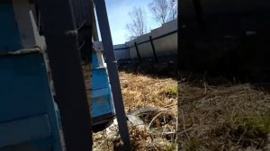 Делаем павильон для пчел