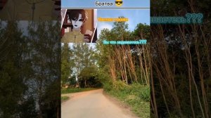 Крипипаста переписка