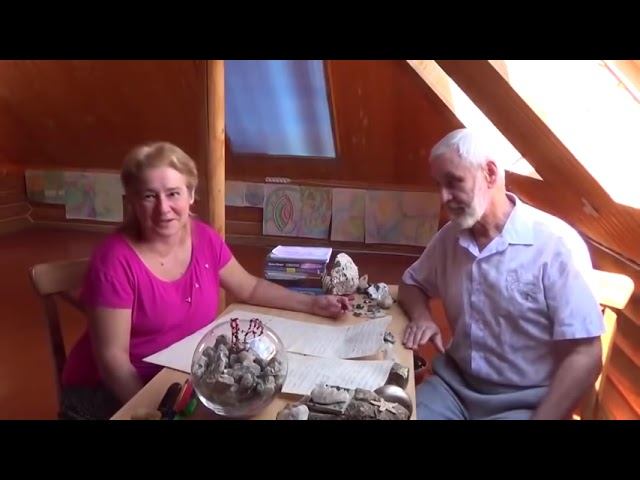 [Случайность—Псевдоним Бога! ] Академик Миронова В.Ю.: встреча лекция