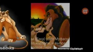 Король лев. История Зиры