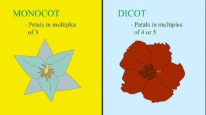 Даражарнақты және қосжарнақты өсімдіктер 8-сынып. 3 -бөлім. Тірі ағзалардың көптүрлілігі