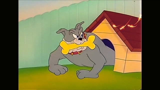 Tom and Jerry in The Framed Cat  cartoon for kids  卡通儿童  мультфильм для детей 子供のための漫画 ジャパン
