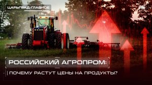 Российский агропром: почему растут цены на продукты?
