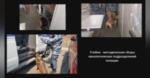 В Приморском крае состоялся учебно-методический сбор со специалистами-кинологами терорганов