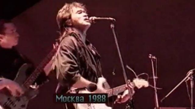 Виктор Цой Концерт памяти Башлачёва Москва,Лужники 1988 смотреть онлайн