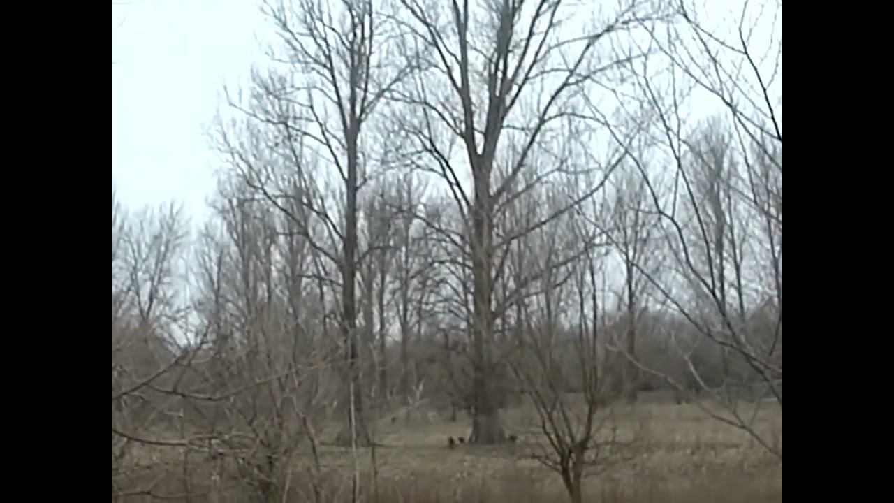 16.02.2025 ЧТО ДЕЛАТЬ? : ЛПХ В ОПАСНОСТИ смотреть онлайн