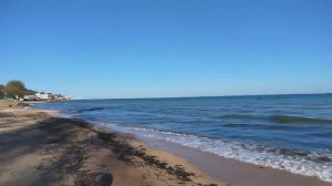 Прогулка. Аршинцево. Пляж. Сегодня следов мазута не видно.