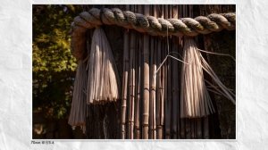 Действительно ли Sigma 16-300mm создала ИДЕАЛЬНЫЙ зум-объектив для путешествий