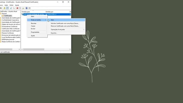 Como instalar o formato PFX no certificado A1 смотреть онлайн