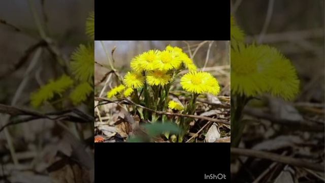 29-04-2025 Прогулка в последние дни апреля, яркие краски, прохладная погода.