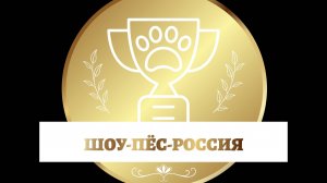 BEST Рейтинговой выставки "ГРАН ПРИ ПЕТЕРБУРГ-ЭЛИТА" КК "ЭЛИТА" 26.04.2025 г. Часть II.