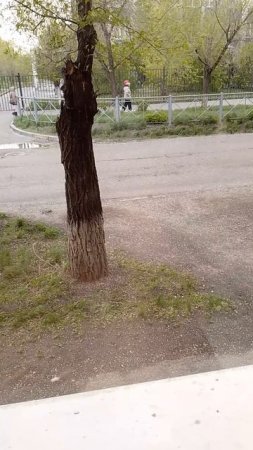 28.04.2025 снег с градом