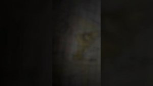 Король лев 4 Большая ошибка кову 1серия