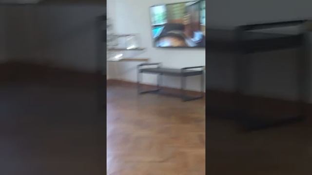 31 октября 2021 г. смотреть онлайн