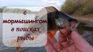 с мормышингом в поисках рыбы