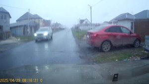 Юг Тюменской обл. Весна. 29 апреля 2025 год.