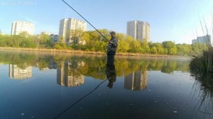 Ловля золотого карася на чудесном озере.