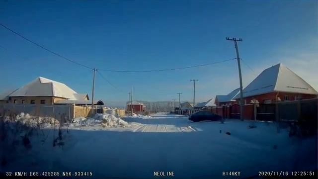 Гусь на снегу смотреть онлайн