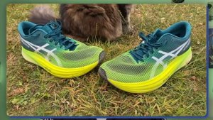Топ 5 кроссовок ASICS ДЛЯ БЕГА | Какие кроссовки Asics купить для бега
