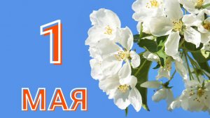 🌷С 1 Мая_2025! Красивое поздравление с 1 Мая! С праздником 1 мая!🌷