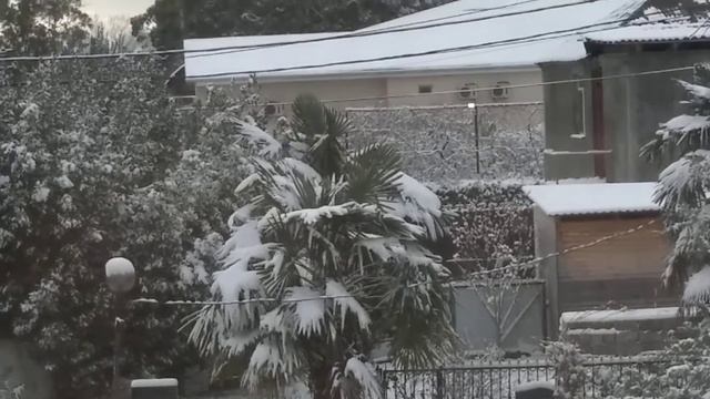 23.12.21 Гагра в снегу смотреть онлайн