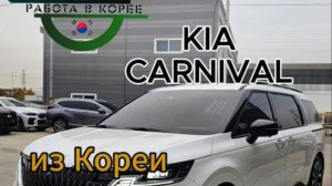 Большой семье - вместительный Carnival!