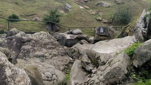 Живые  камни Орловская  область