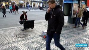 Конь музыкант играет на пианино - очень весёлое уличное представление в Праге