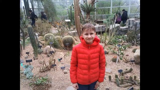 Как я был на фестивале сакур, или выходной в Ботаническом саду смотреть онлайн