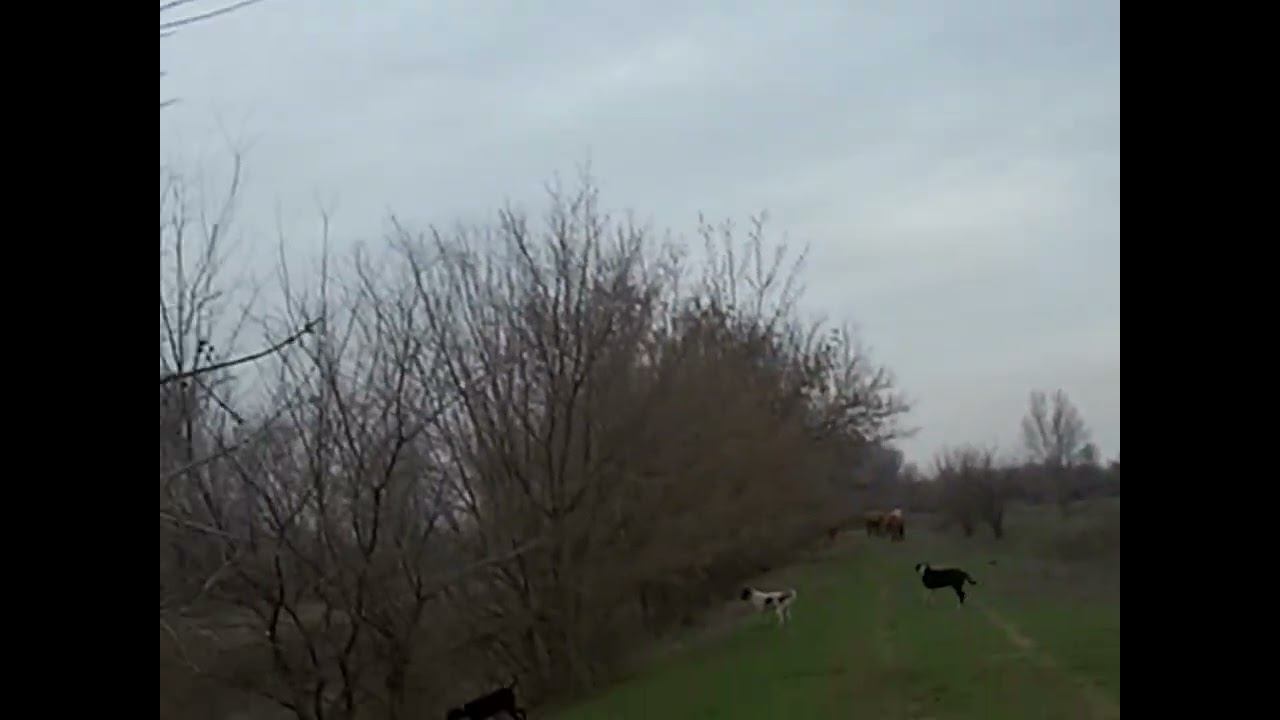 21.03.2025 ЧТО ДЕЛАТЬ? : ЛПХ В ОПАСНОСТИ смотреть онлайн